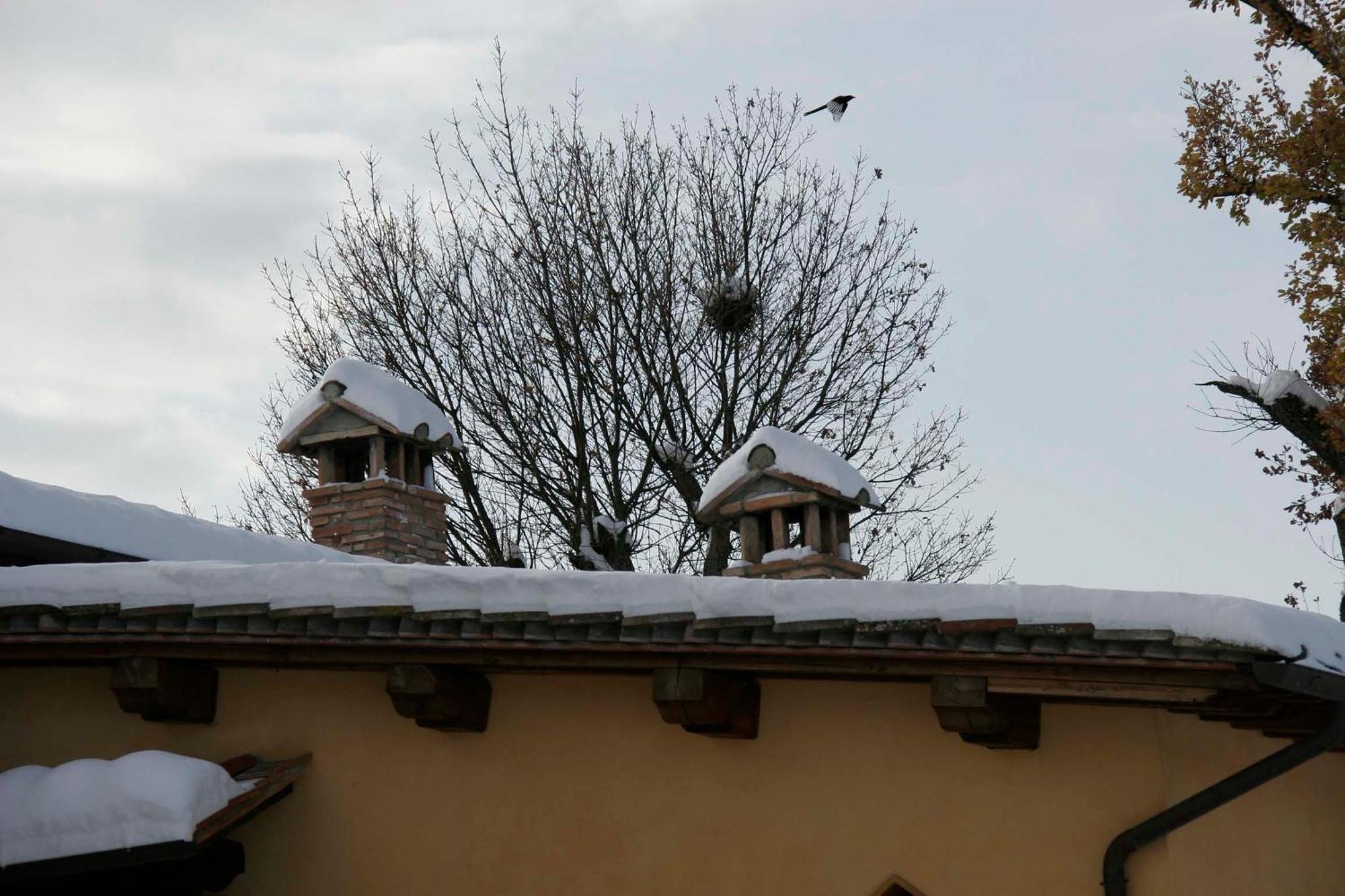 Il Nido Di Gabbiano Guest House Scarperia Exterior foto